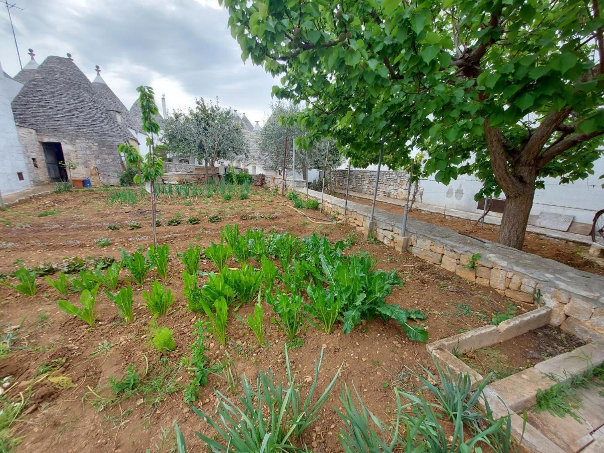 Il Trullo Di Giada E Mattia Villa อัลเบโรเบลโล ภายนอก รูปภาพ