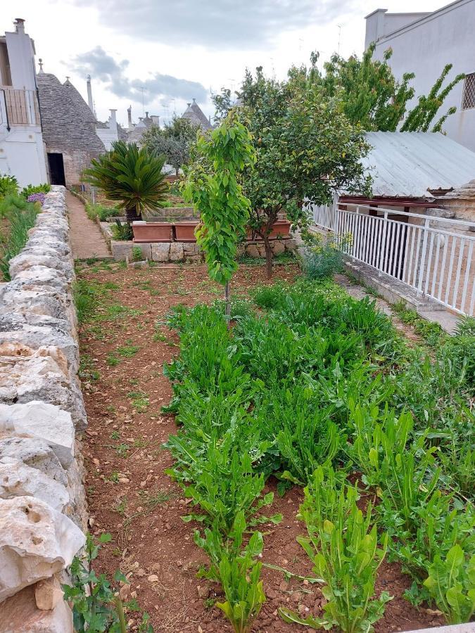 Il Trullo Di Giada E Mattia Villa อัลเบโรเบลโล ภายนอก รูปภาพ
