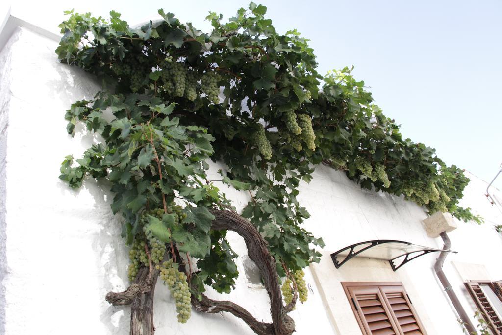 Il Trullo Di Giada E Mattia Villa อัลเบโรเบลโล ภายนอก รูปภาพ